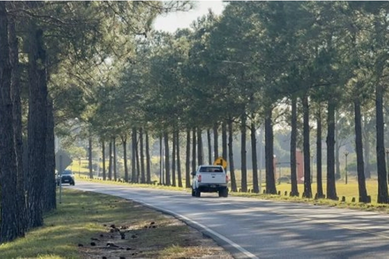 Reclaman mayor seguridad vial en la ruta de acceso a una localidad de la región - imagen de origen