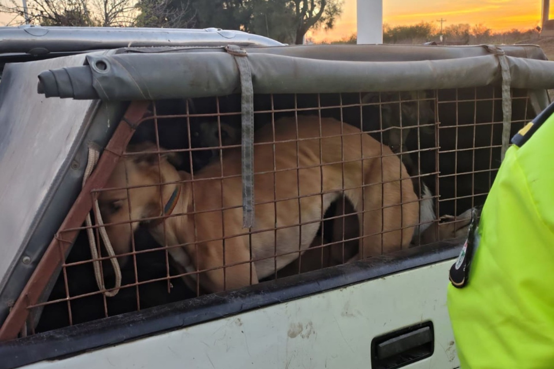 Decomisan carne sin papeles y frenan una caza furtiva en Tala - Informe Digital - imagen de origen