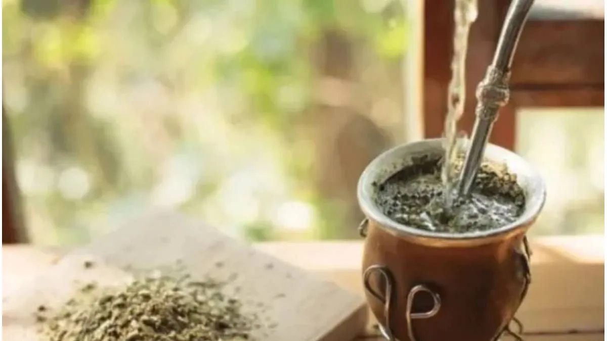 Entre Ríos: descubren en el mate propiedades neuroprotectoras frente al Parkinson - imagen de origen