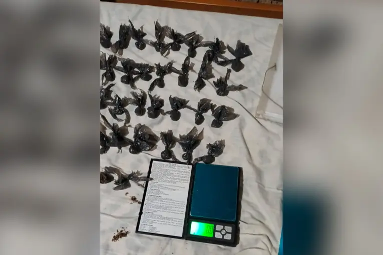 Balearon a un hombre tras discusión y hallaron droga durante la detención de los agresores en Paraná - imagen de origen