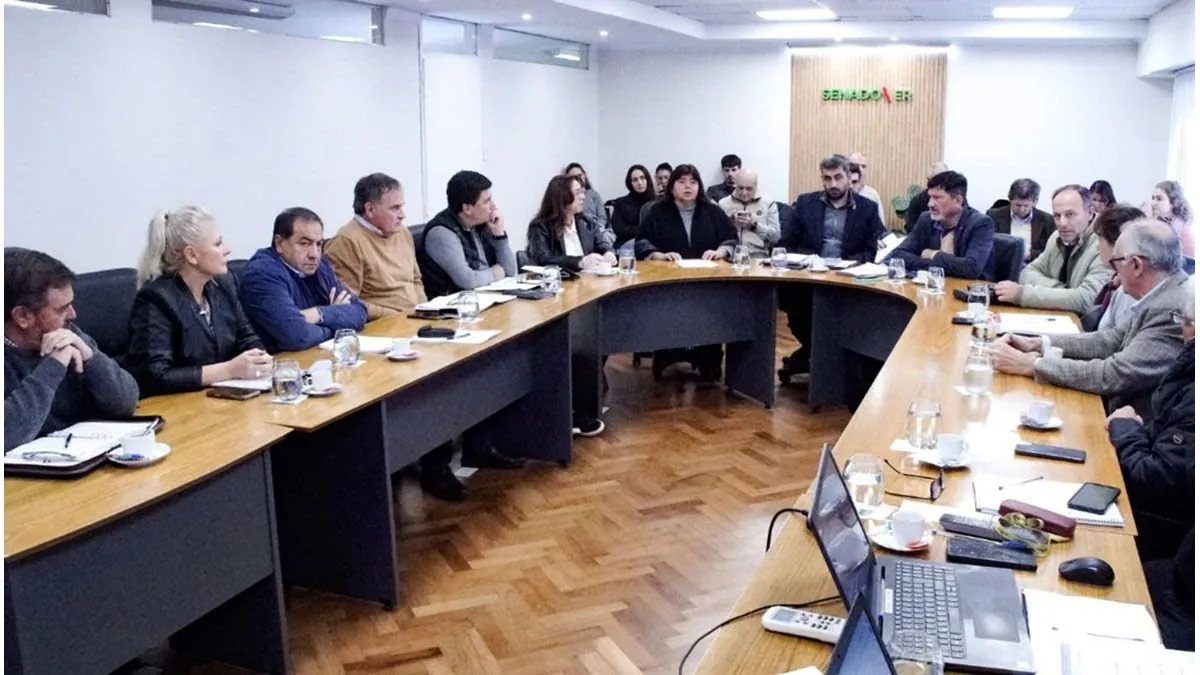 Reforma Previsional: el Senado acordó cronograma de trabajo - imagen de origen
