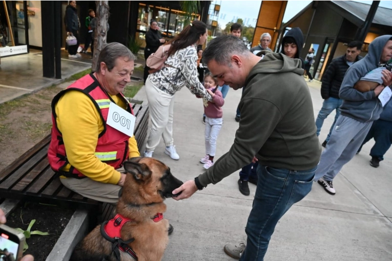 Unos 200 animales recibieron atención en Guanimal Day - imagen de origen