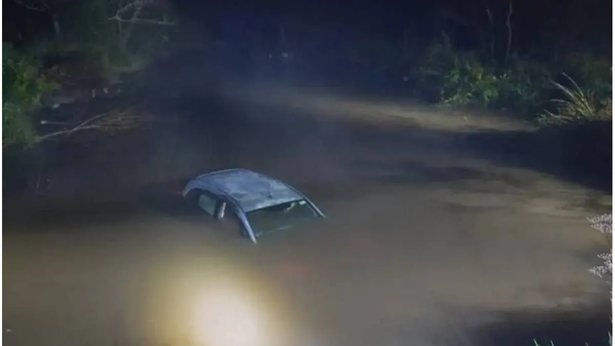 Un auto cayó a un arroyo y un familiar rescató a sus dos ocupantes - imagen de origen