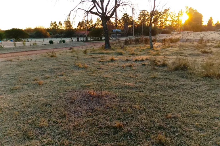 Alerta amarilla por frío extremo en más de 20 provincias: volvió a blanquear la helada en suelo entrerriano - imagen de origen