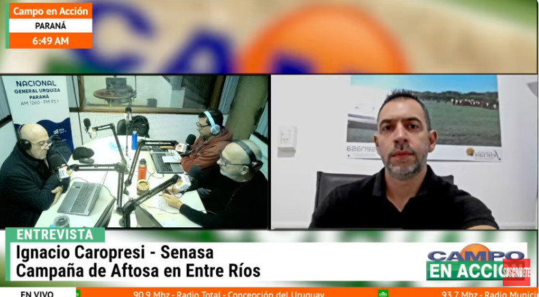 Senasa explica porqué la segunda vacunación del año contra aftosa empieza el 8 de junio en Entre Ríos - imagen de origen