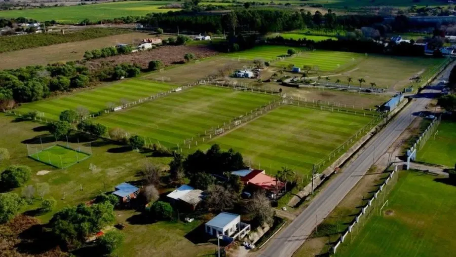 La Liga Paranaense de Fútbol trabaja en sus campos de juego | Análisis - imagen de origen
