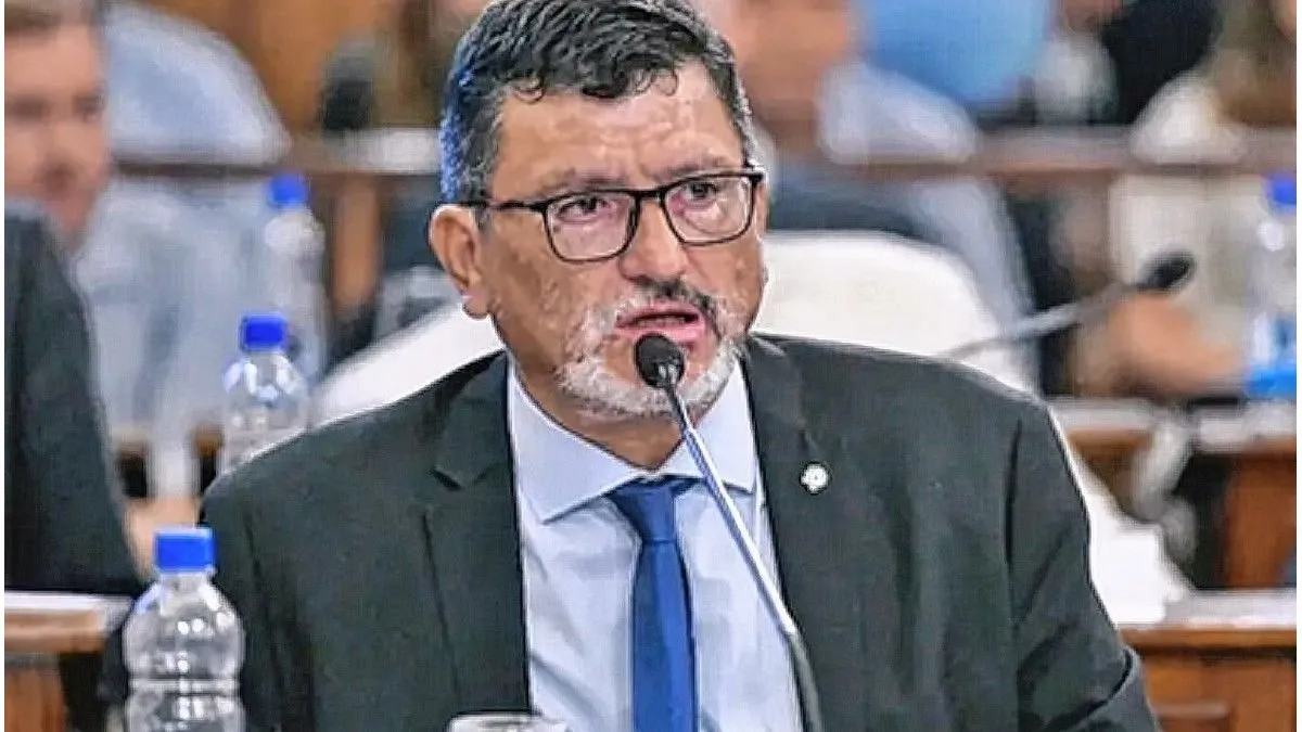 Gustavo Vergara dijo que el PJ declaró la emergencia previsional apenas dos años después de crear el sistema - imagen de origen