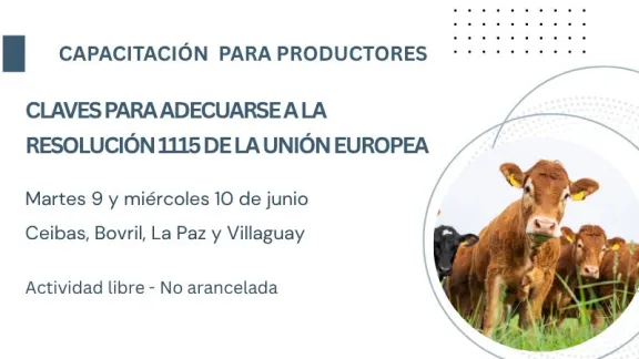 Convocan a productores ganaderos entrerrianos a capacitarse en la Resolución 1115 de la Unión Europea - imagen de origen