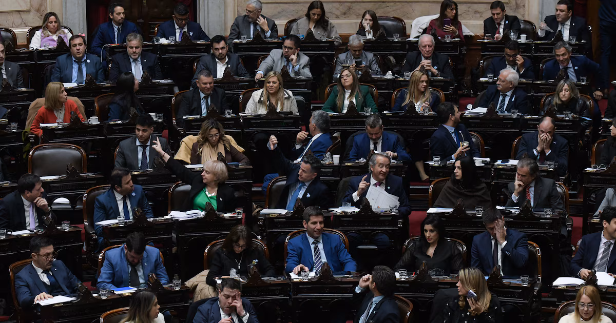 Diputados aprobó la Ley Hojarasca y abrió otra pulseada - Informe Digital - imagen de origen