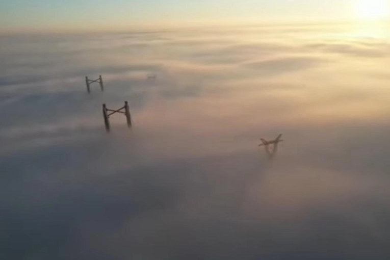 Advierten que continuará la densa niebla en Gualeguaychú y una amplia zona - imagen de origen