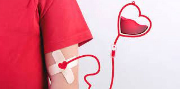 Argentina modernizó el Sistema Nacional de Sangre y cambia las reglas para donar - imagen de origen