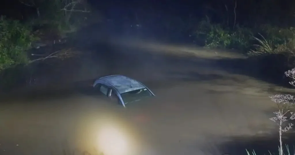 Un auto cayó a un cauce de agua en Entre Ríos y un familiar rescató a sus dos ocupantes - imagen de origen