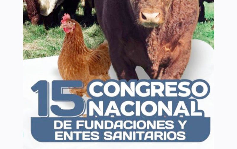 Gualeguaychú será sede de un congreso nacional clave para la ganadería - imagen de origen