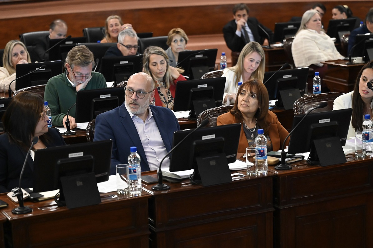 Sugieren la expulsión del PJ para quienes voten la reforma previsional - imagen de origen