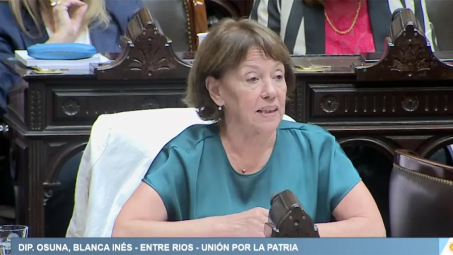 Blanca Osuna cuestionó la reforma previsional del Rogelio Frigerio y denunció un “retroceso” para las mujeres | Análisis - imagen de origen