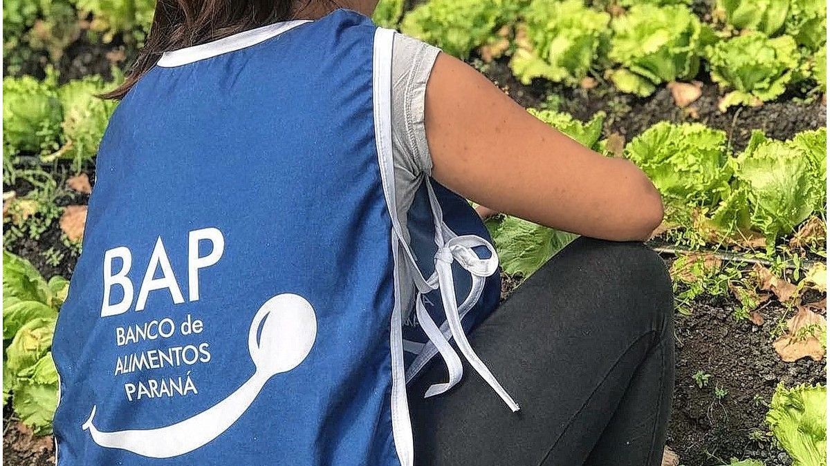 El Banco de Alimentos de Paraná distribuye un promedio mensual de más de 40.000 kilos de alimentos - imagen de origen