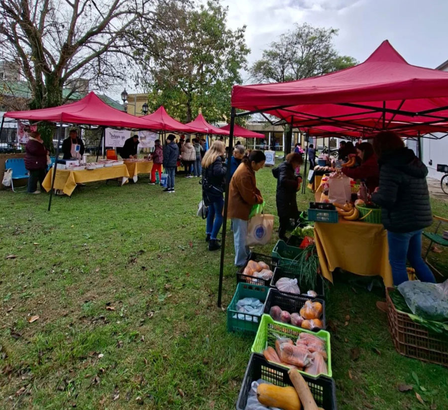 La Feria en tu Barrio tuvo una nueva edición y vuelve a Plaza Columna - imagen de origen