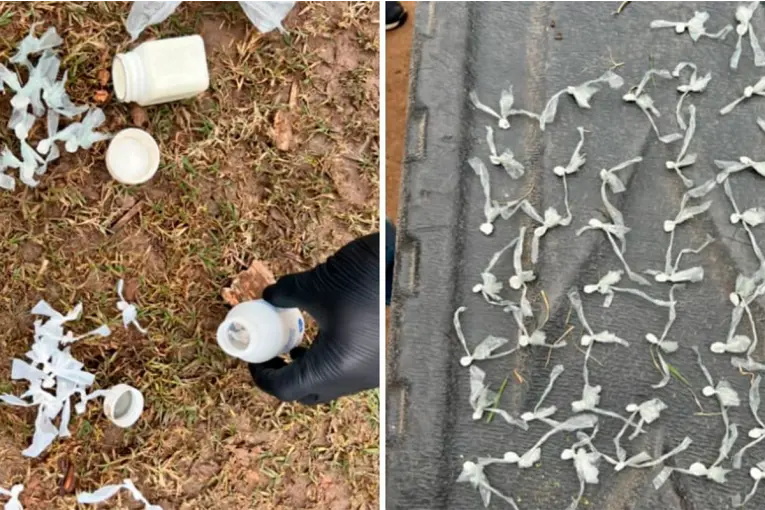 Gualeguaychú: cayeron con 79 dosis de cocaína y marihuana - Informe Digital - imagen de origen