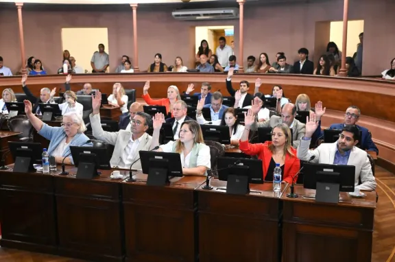 Los diputados de Juntos por Entre Ríos también se solidarizaron con la concejal que denunció a Lauritto - imagen de origen