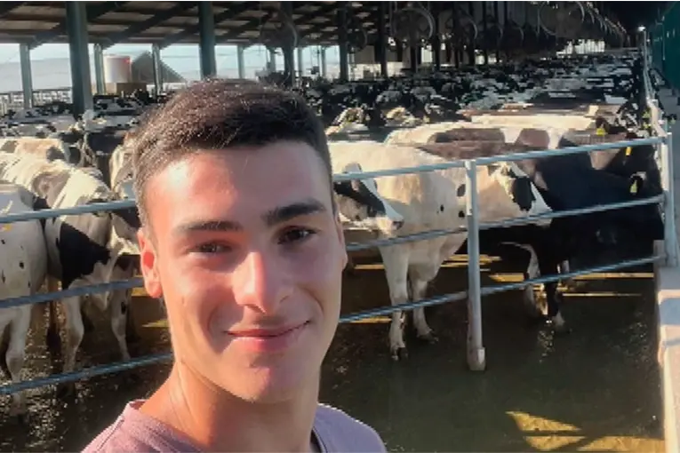 El joven agroinfluencer que revolucionó un tambo familiar, apuesta a la tecnología y lo muestra en redes - imagen de origen