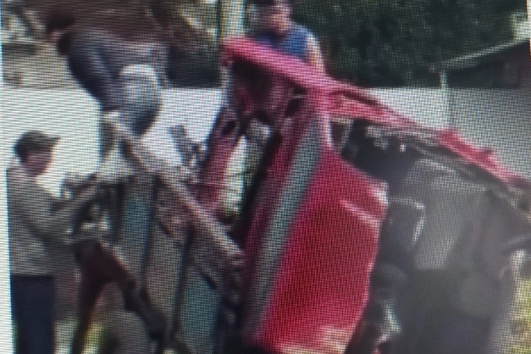 "Un caballo, un carro y casi un automóvil encima: la urgente necesidad de erradicar la tracción a sangre" - imagen de origen