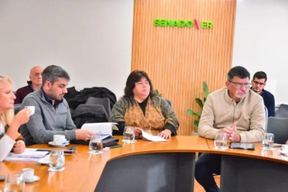 Comisión de Seguimiento de la Deuda Pública: Senadores del PJ estudiarán el proyecto para marcar una postura - imagen de origen