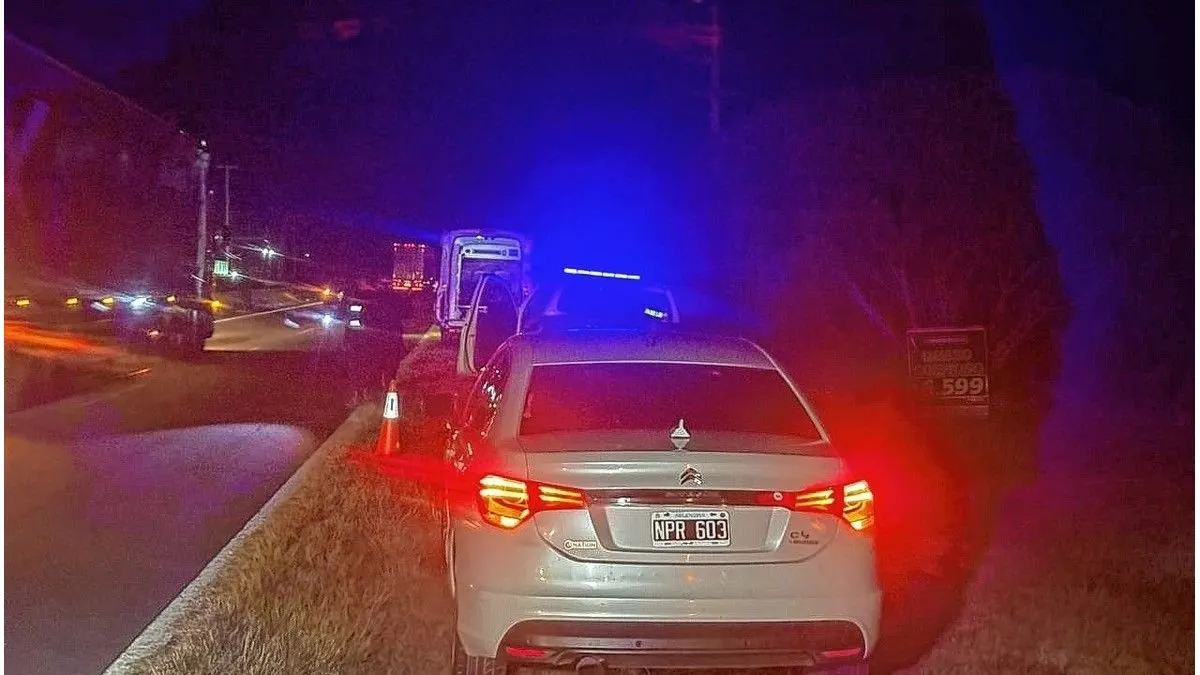 En el Acceso Norte encontraron a un hombre sin vida sobre la banquina - imagen de origen
