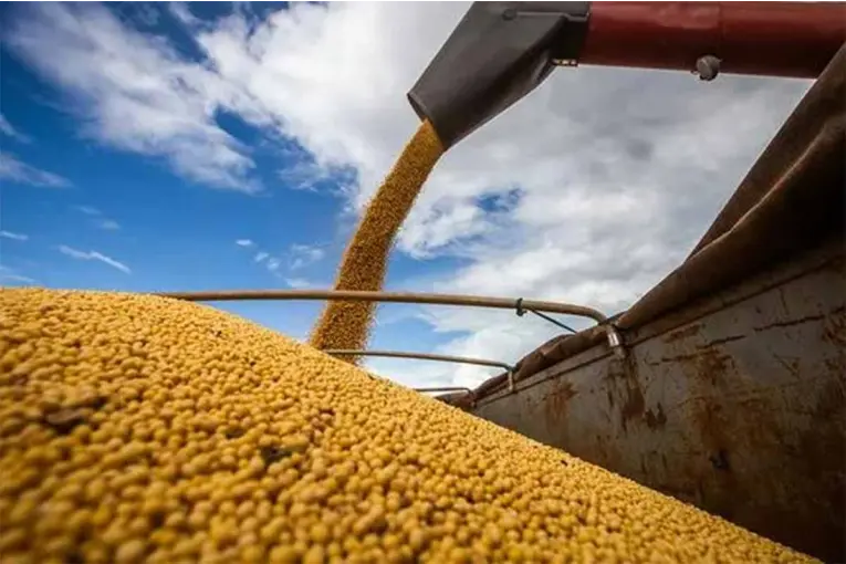 Proyectan que el agro liquidará más de u$s36.000 millones en 2026 - imagen de origen