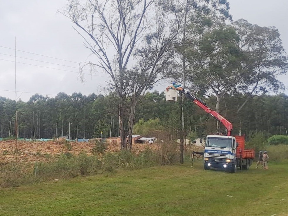 Por la tala de un árbol, Calabacilla y parte de Puerto Yeruá estuvieron sin energía eléctrica - imagen de origen