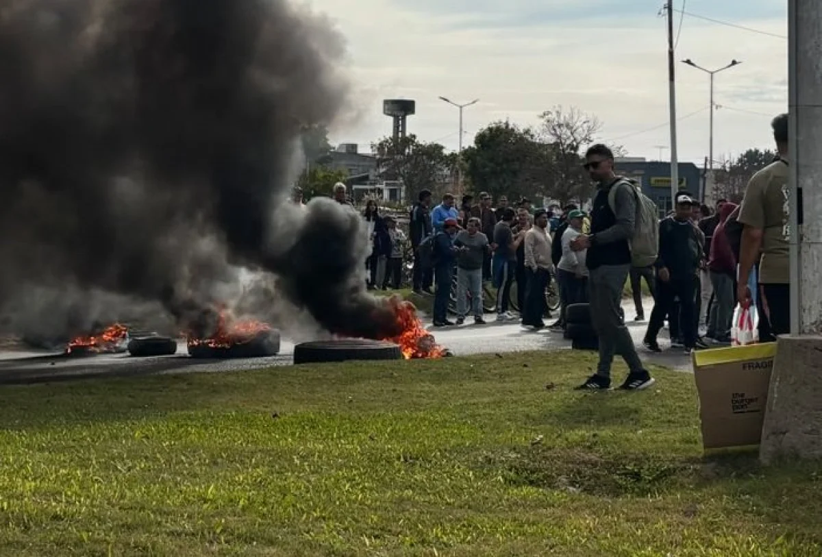 Concejales libertarios proponen eximir de tasas municipales a trabajadores de Granja Tres Arroyos - imagen de origen