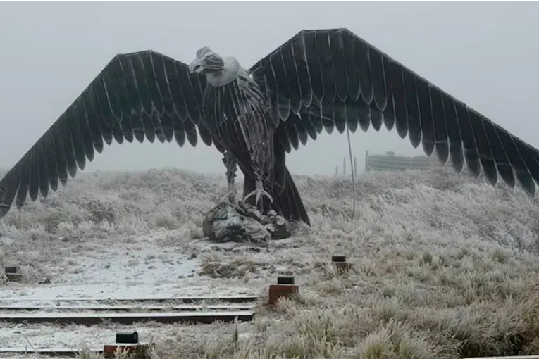 Videos: la ola polar dejó nevadas en Buenos Aires y varias provincias del país - imagen de origen