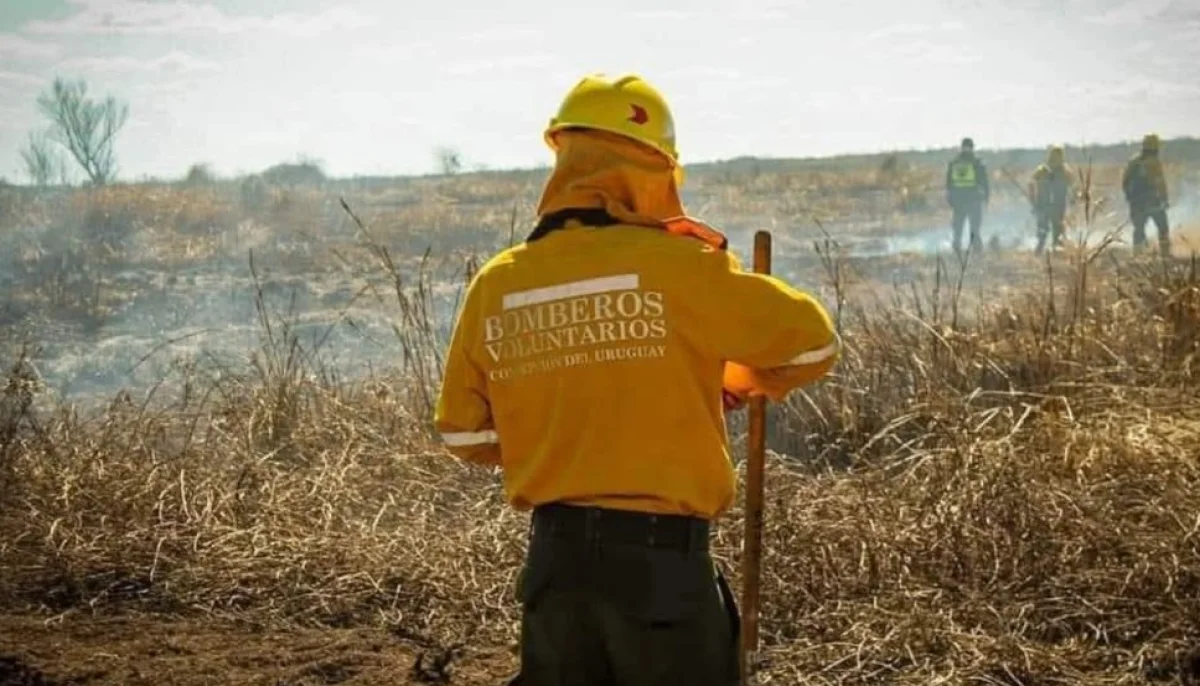 Bomberos Voluntarios y UADER impulsan talleres sobre salud mental para el cuerpo activo - imagen de origen
