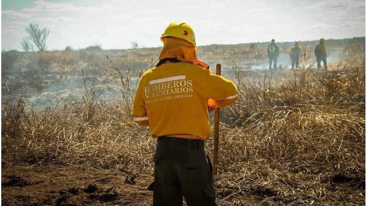 Piden cobertura médica urgente para 85 bomberos voluntarios - Informe Digital - imagen de origen