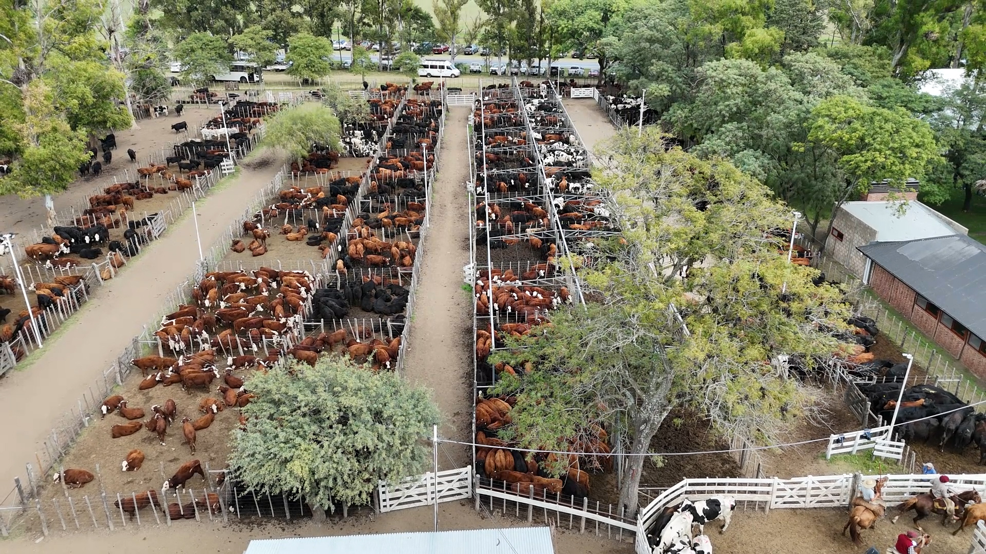 Etchevehere Rural celebró sus primeros 56 años de actividad - imagen de origen