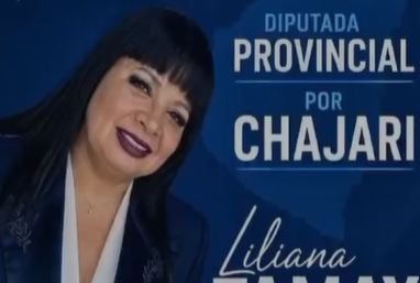Rumbo a la Legislatura: "Lili" Tamay lanzó su campaña y pidió a los vecinos "no dejarse engañar por viejas promesas" - 7PAGINAS - imagen de origen