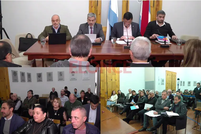 Cavagna defendió la reforma jubilatoria y aseguró que el debate seguirá abierto: “El 82% está garantizado por ley” - imagen de origen