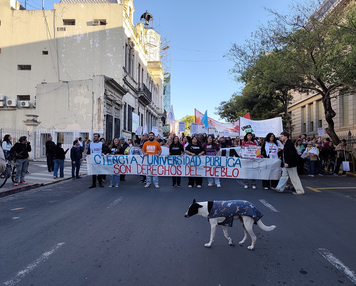 La Universidad asumió otros reclamos y golpeó también en la Casa Gris - imagen de origen