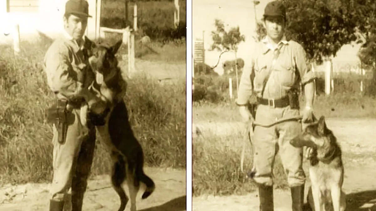 Chonino, el perro policía que es historia - imagen de origen