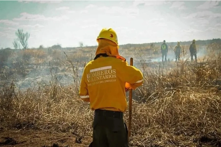 Senadores piden al Ejecutivo que cumpla con la ley y garantice a los Bomberos cobertura de salud - imagen de origen