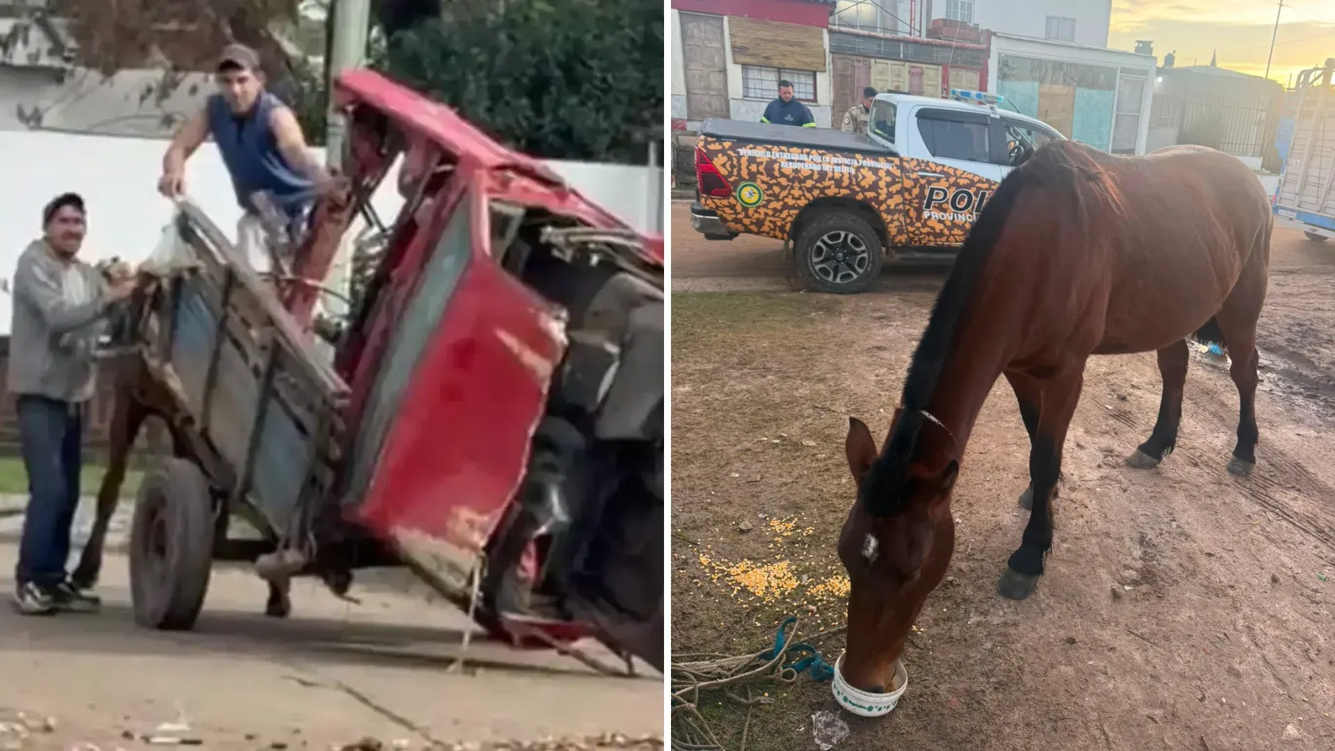 Secuestraron al caballo que tiraba el carro en el que quisieron subir la mitad de un auto: quedó a resguardo en Las Piedras - imagen de origen