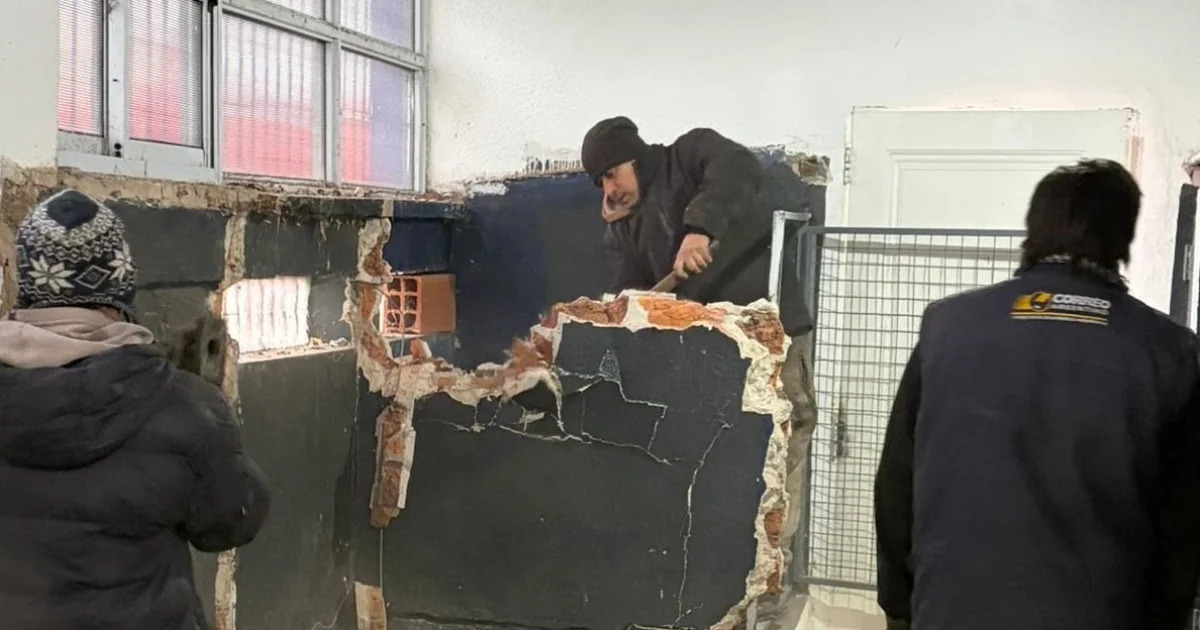 Sanidad Animal: realizan mejoras en el Centro Antirrábico y el Castramóvil continúa en el barrio 150 Viviendas - imagen de origen