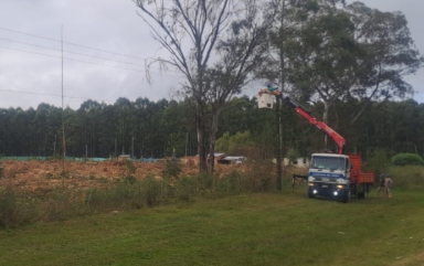 Por la tala de un árbol que cayó sobre la línea de media tensión, Calabacilla y parte de Colonia Yeruá estuvieron sin energía - 7PAGINAS - imagen de origen