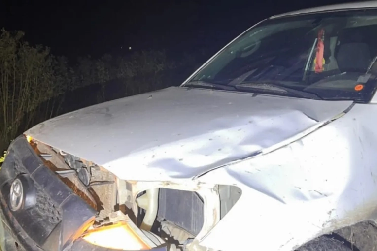 Una camioneta chocó contra un animal vacuno en un camino vecinal de la región - imagen de origen