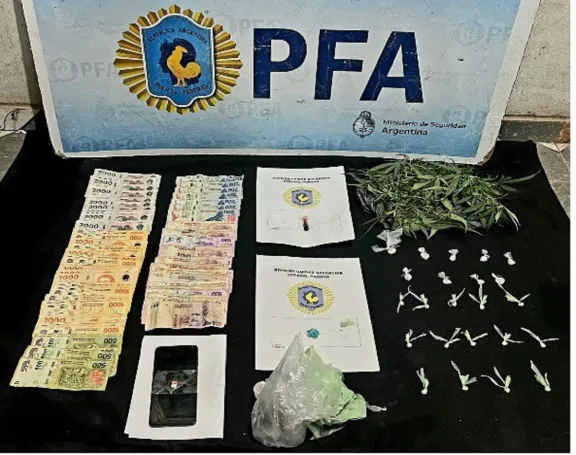 Paraná: un detenido con drogas, cocaína y plantas de cannabis - imagen de origen