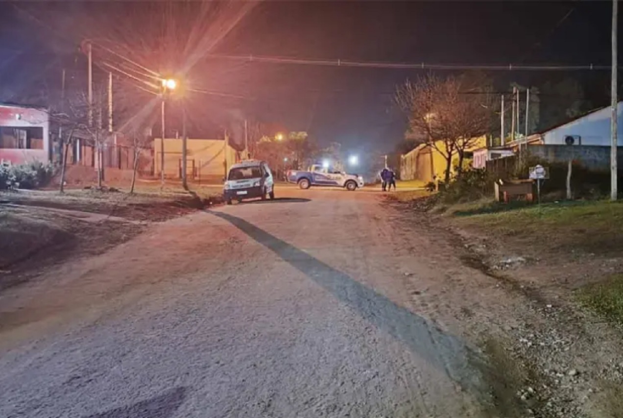 Detuvieron a la joven que mató a su expareja de una puñalada en el pecho - imagen de origen