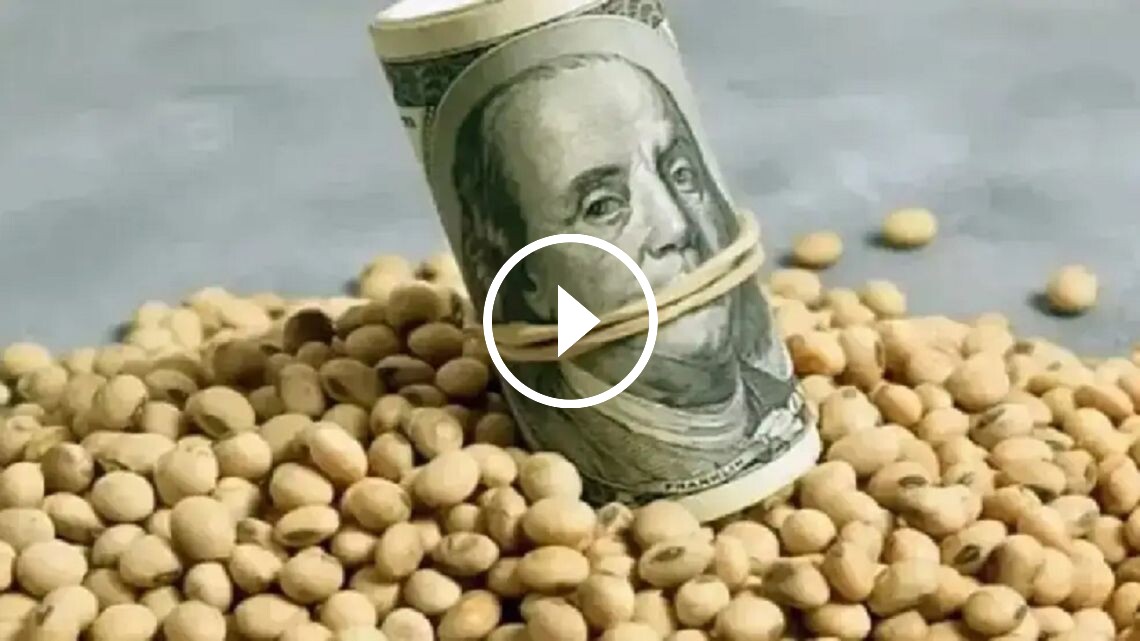 Generación de dólares para Argentina: “El agro va a ir perdiendo peso relativo como generador de divisas” - Informe Digital - imagen de origen