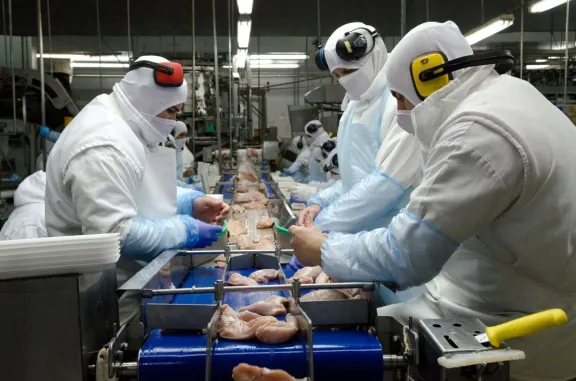 Las exportaciones de Entre Ríos crecieron 21 por ciento en el primer trimestre de 2026 - imagen de origen