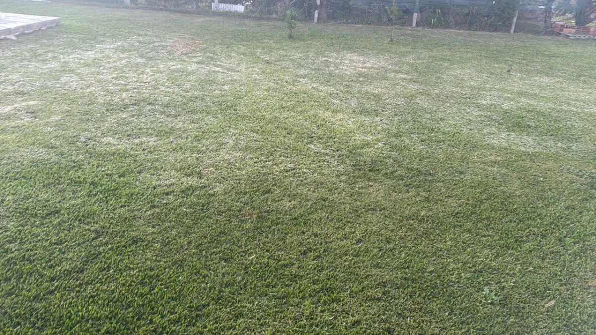Martes con helada y cielo despejado en Concepción del Uruguay - imagen de origen