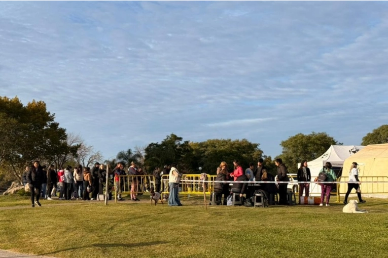 Gran convocatoria en el “Guanimal Day”: ya atendieron a más de cien animales en el Mercado del Munilla - imagen de origen