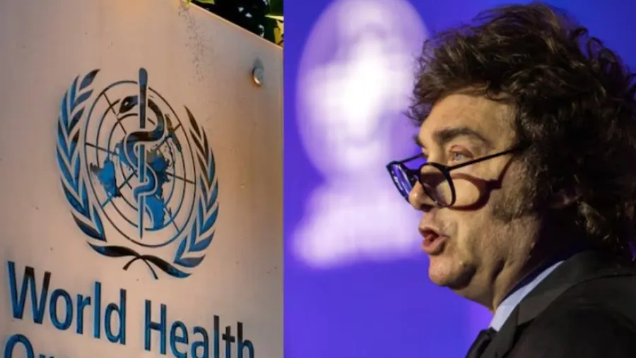 La escandalosa salida argentina de la OMS en medio del brote de hantavirus | Análisis - imagen de origen
